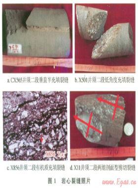 川西新場(chǎng)地區(qū)須家河組二段氣藏天然裂縫形成期次的確定